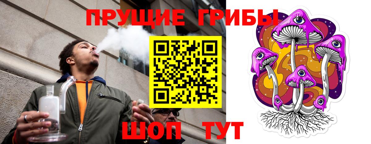 Галлюциногенные грибы GOLDEN TEACHER  Вход с VPN  Пушкино 