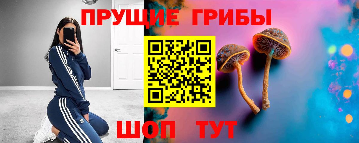 Галлюциногенные грибы Magic Shrooms Пушкино
